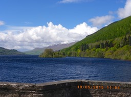 IMGP0082