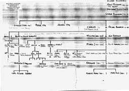 LH.half.of.2nd.main.tree